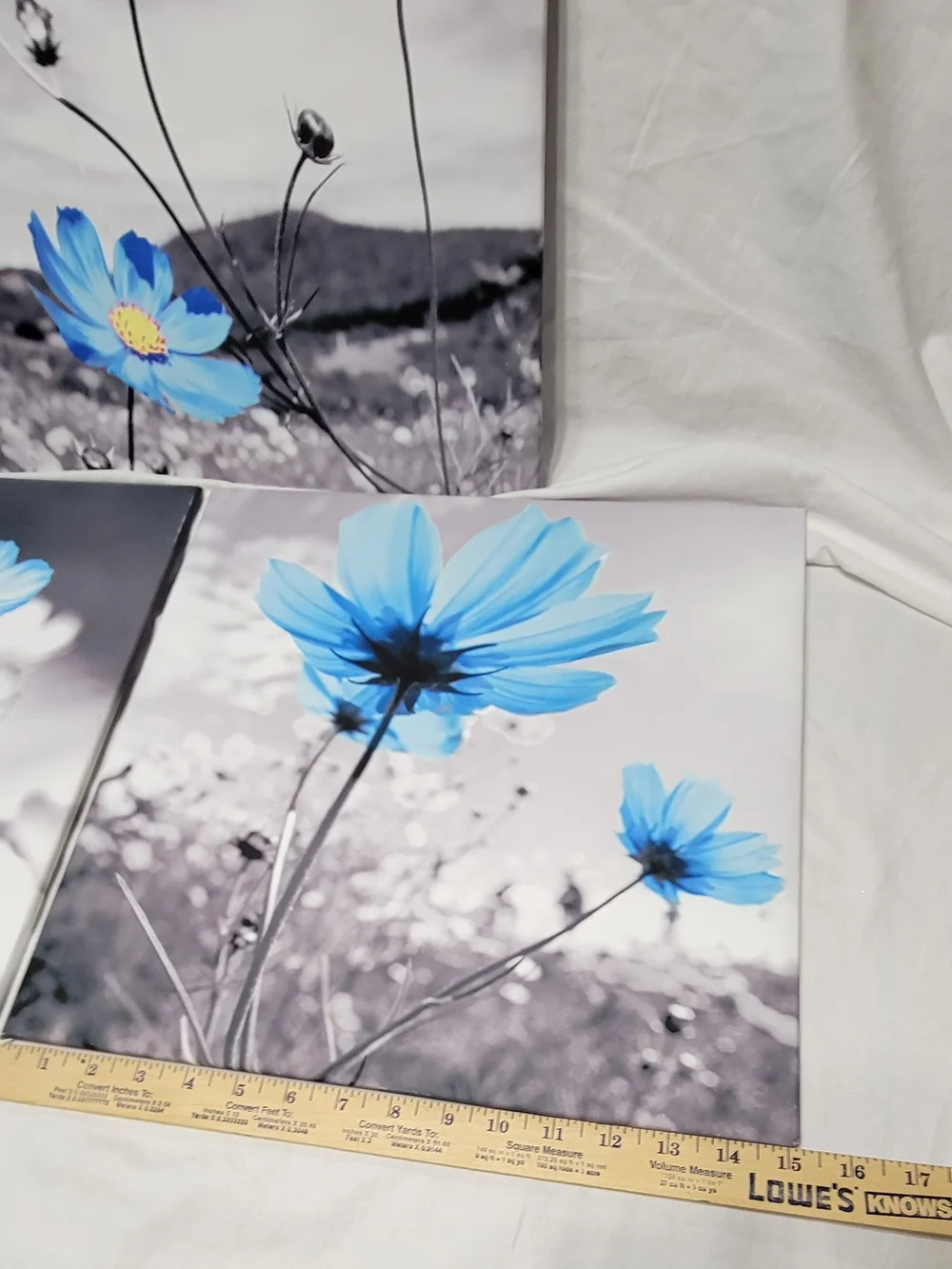 Blue Flower Canvas Print 3 Piece Set, Black/White Background, Ready to Hang